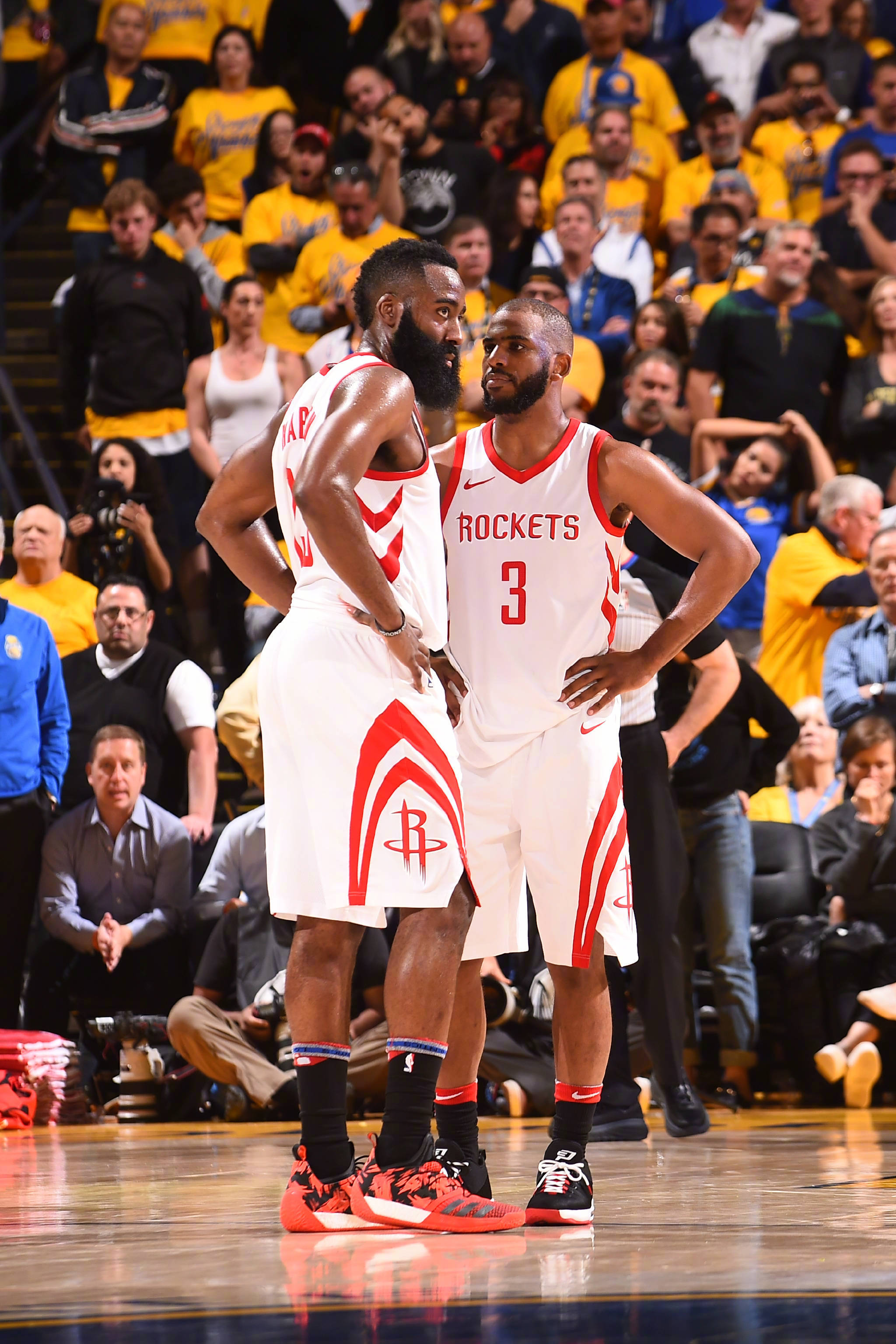 我们将一起 我们将一起