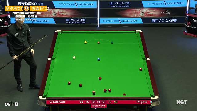 牌化发展的 牌化发展的