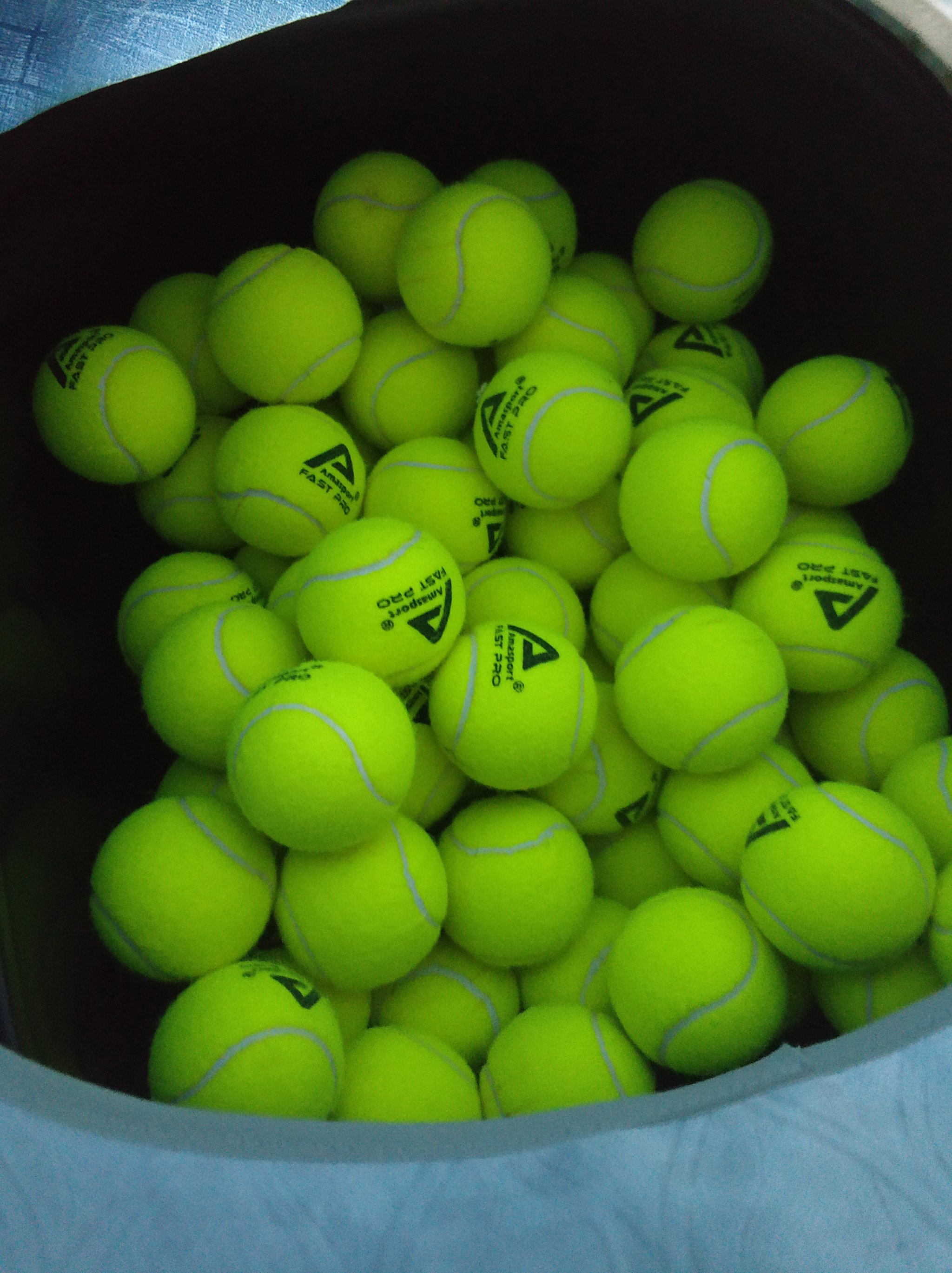 的奥运会历 的奥运会历