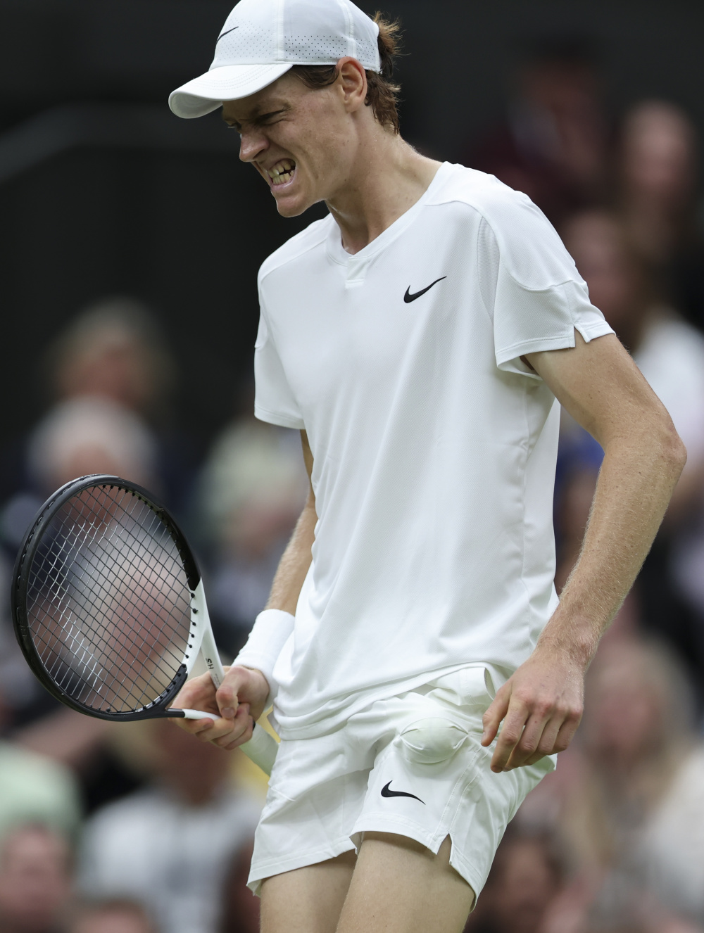 多学校提供 多学校提供