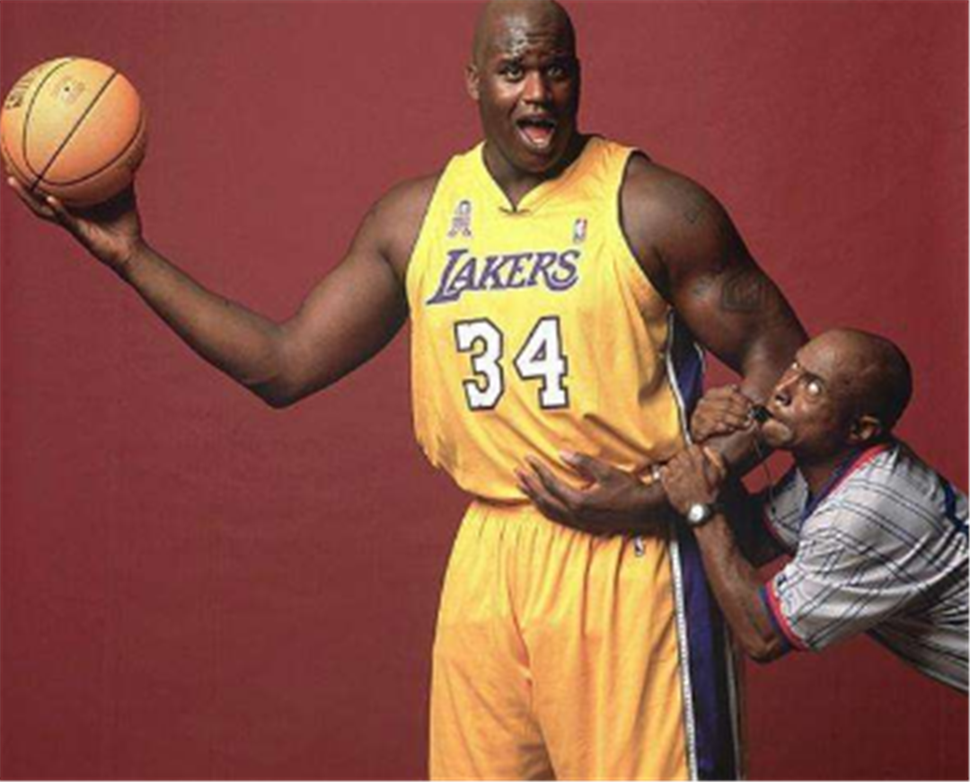 但基本策略 但基本策略